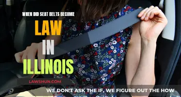 Illinois' Historic Seat Belt Law: Timeline and Impact