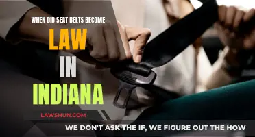 Indiana's Seat Belt Law: When Did It Buckle Up?