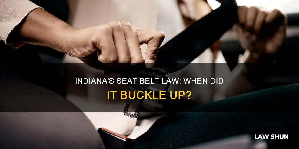 when did seat belts become law in indiana