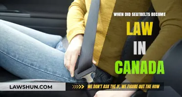 Seatbelt Laws in Canada: When Did They Begin?