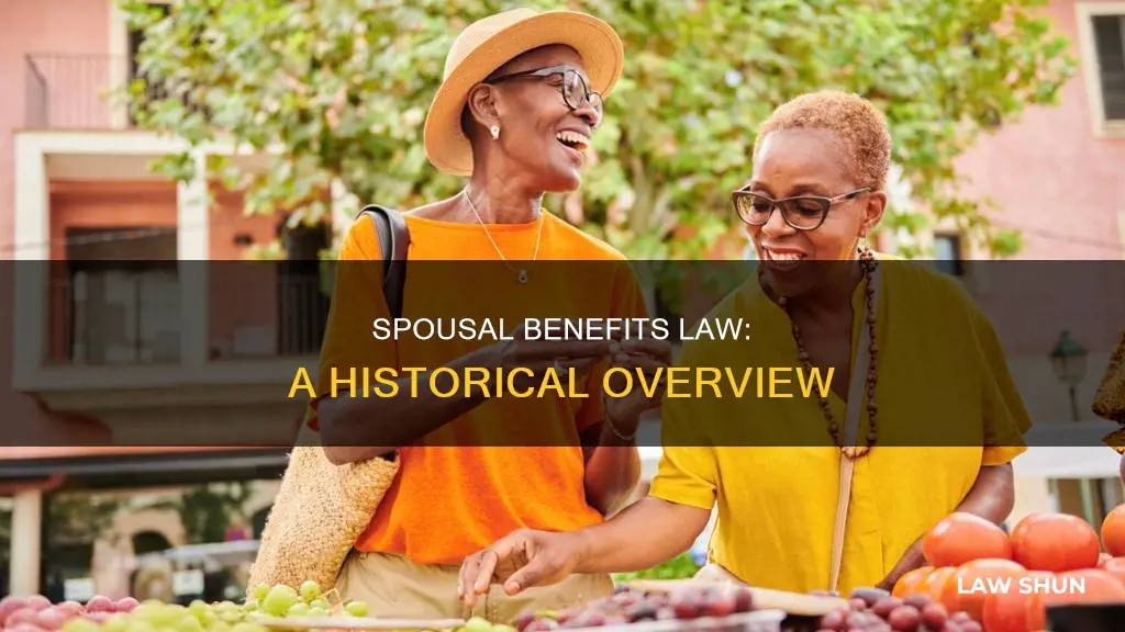 when did spousal benefits become law