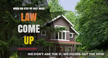 Understanding the Origins of Step-Up Cost Basis Law