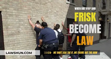 The History of Stop and Frisk Becoming Law