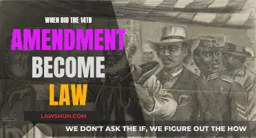 The 14th Amendment: A Law Passed in Turbulent Times