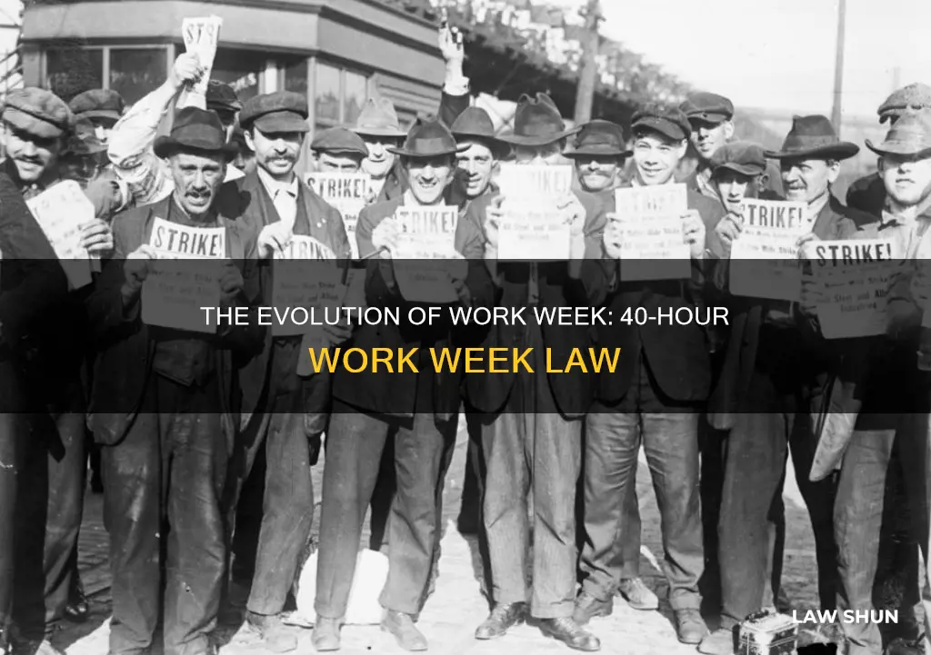 when did the 40 hour work week become law