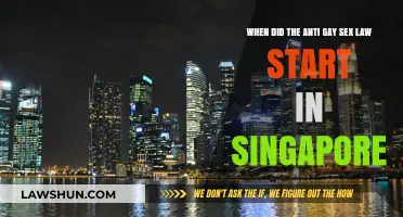 Singapore's Anti-Gay Sex Law: Origins and Historical Context