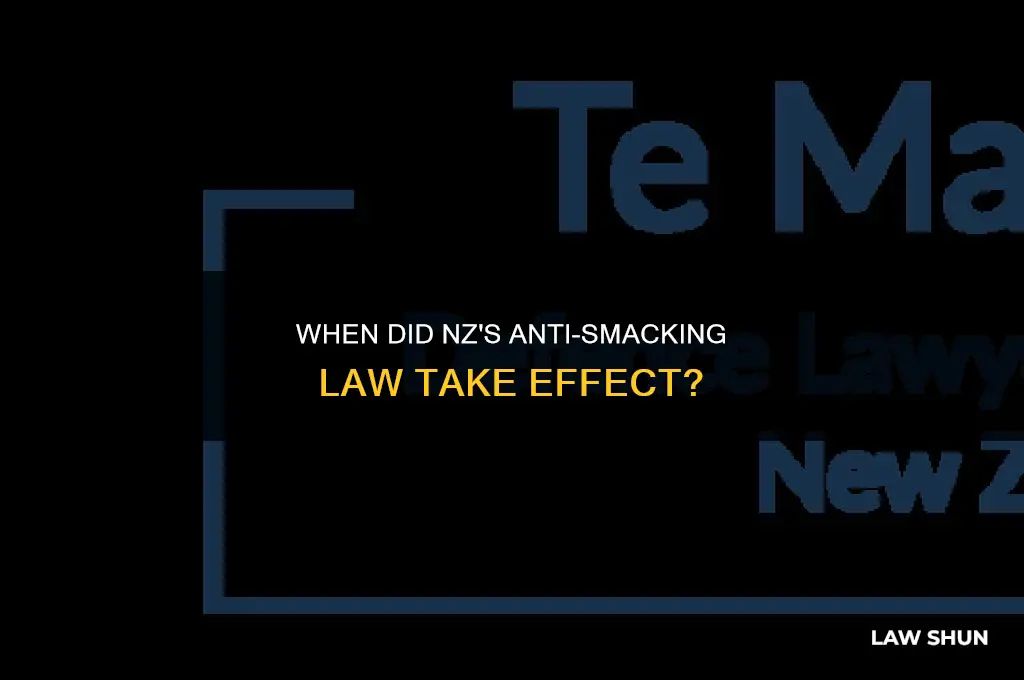 when did the anti smacking law come in nz