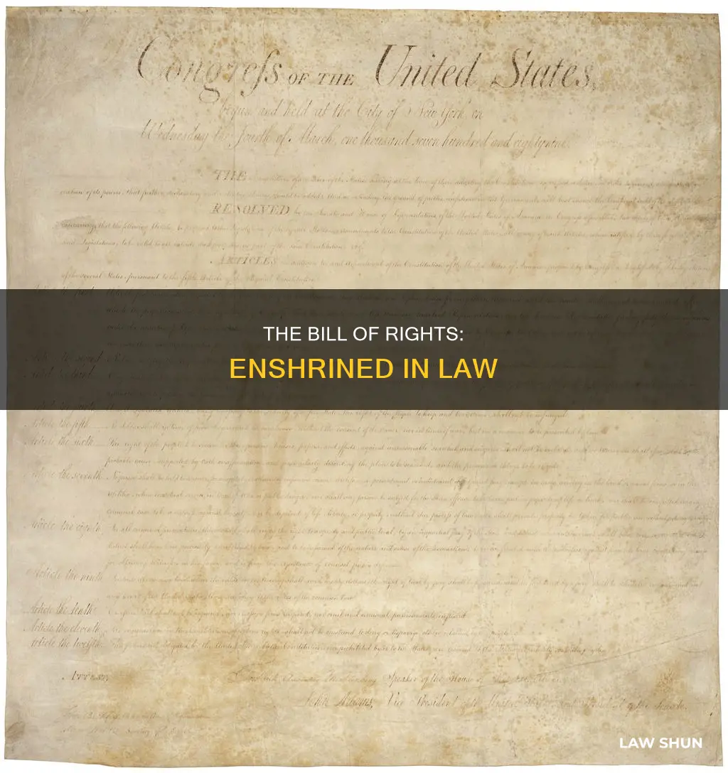 when did the bill of rights become a law