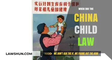 Understanding China's Child Law: Origins, Evolution, and Impact
