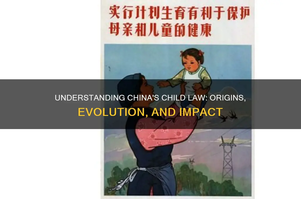 when did the china child law