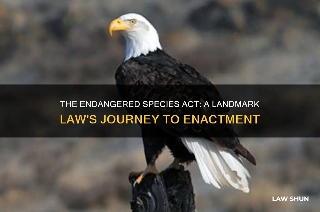 when did the endangered species act became a law