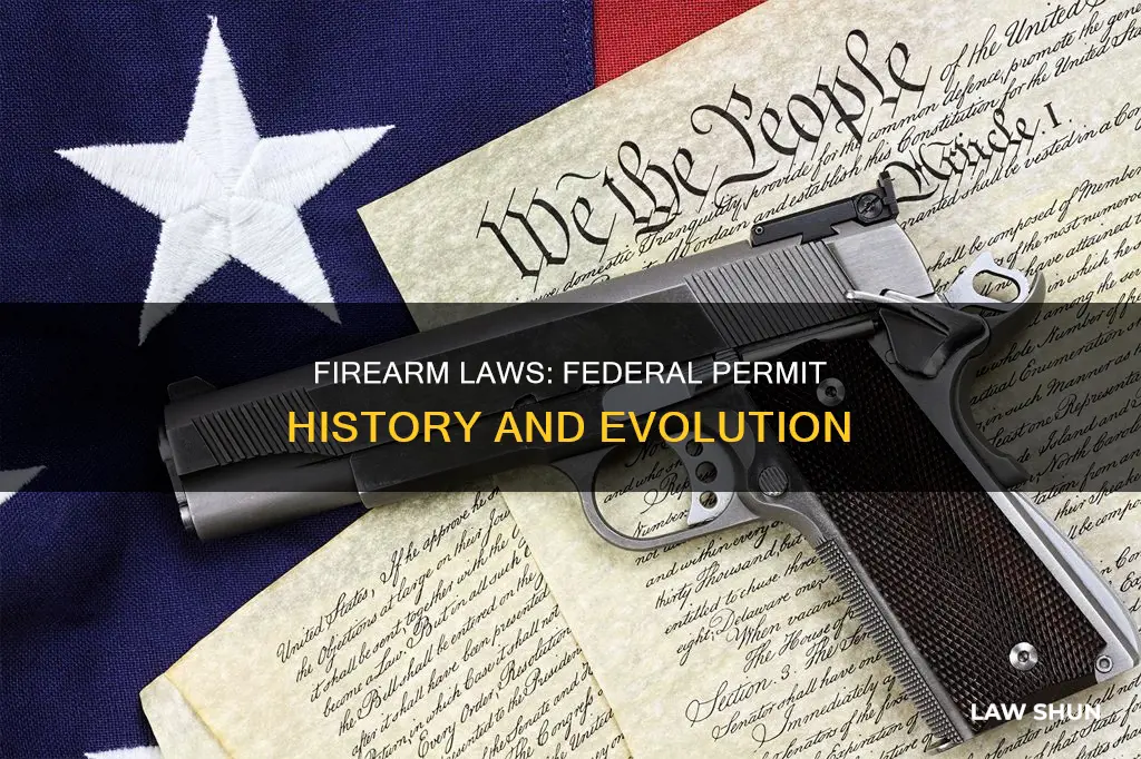 when did the federal fire arm permit become law