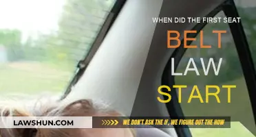 Seat Belt Laws: A Historical Perspective