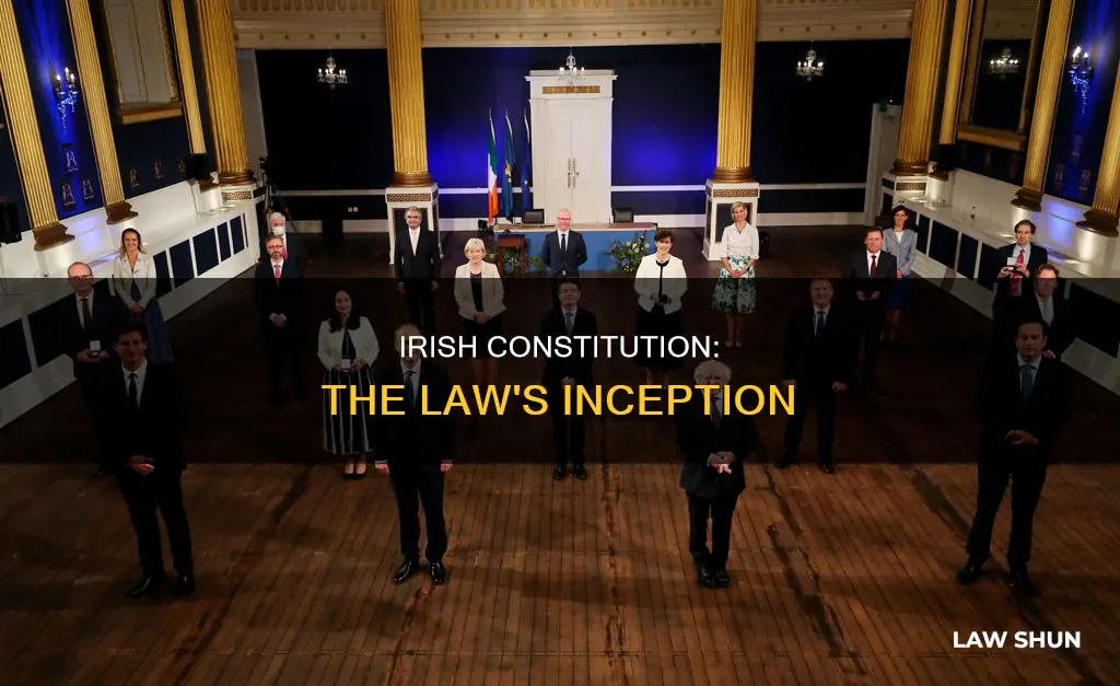 when did the irish constitution became law