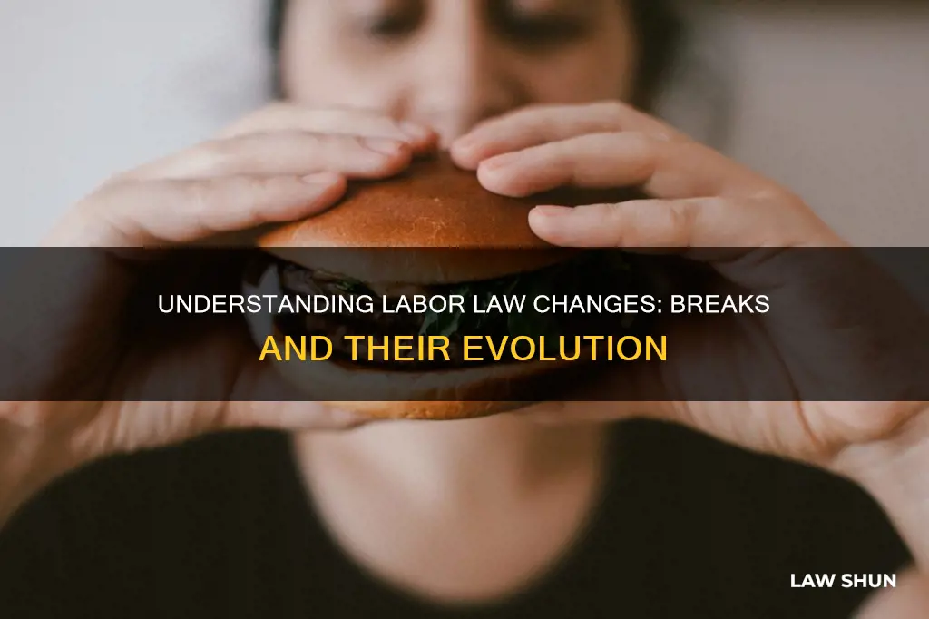 when did the labor laws covering breaks change
