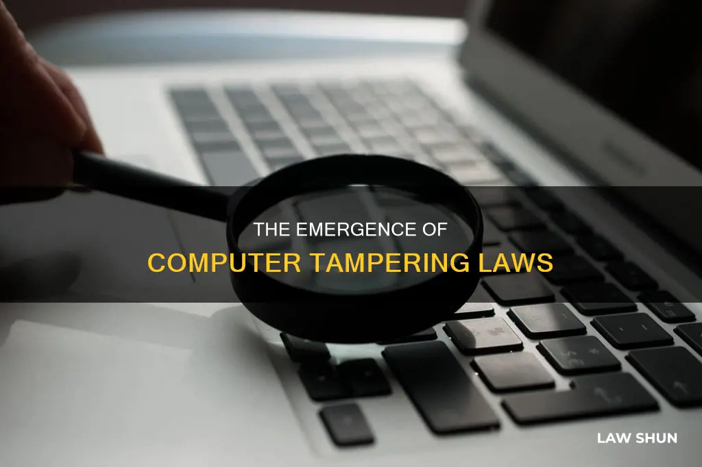 when did the need for computer tampering laws become apparent