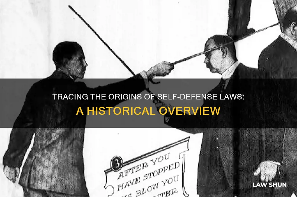 when did the self defence law come into place