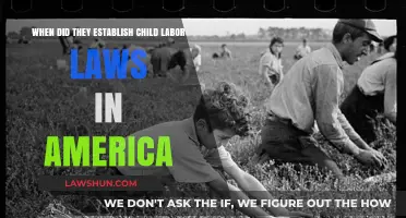 The Evolution of Child Labor Laws in America: A Historical Overview