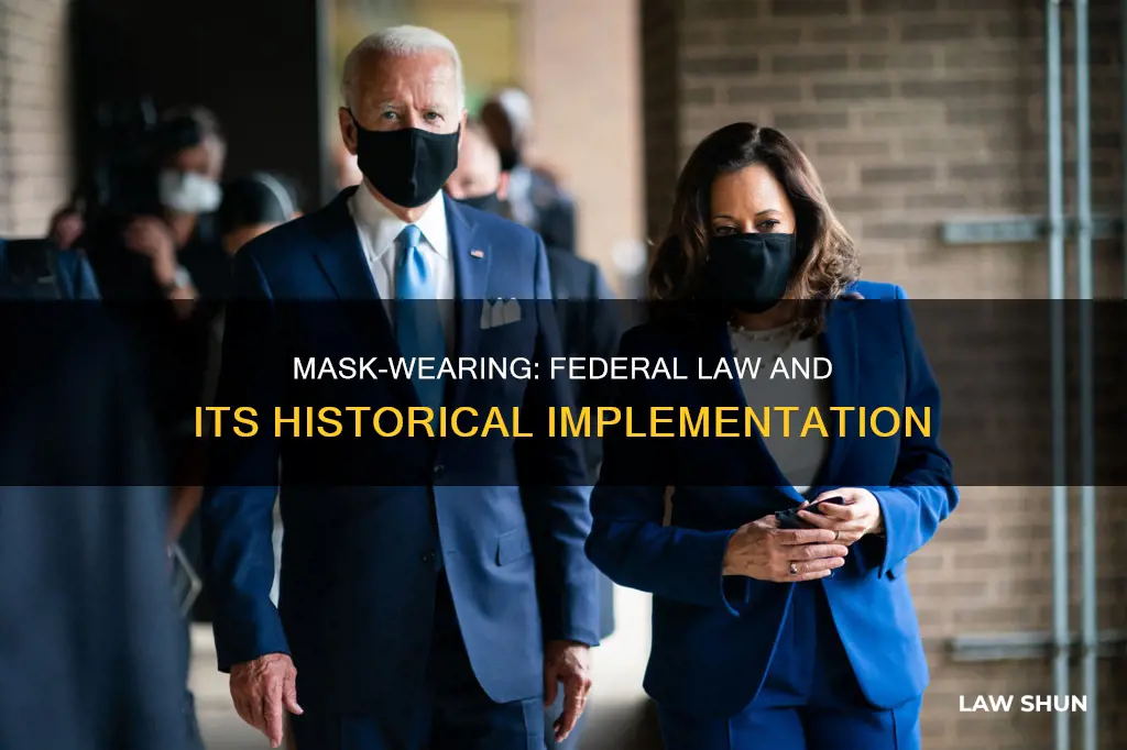 when did wearing a mask become a federal law