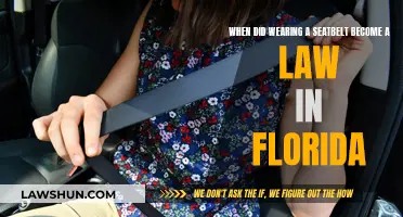 Florida's Seatbelt Law: When Did It Come Into Force?