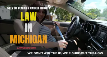 Michigan's Seatbelt Law: When Did It Come Into Force?