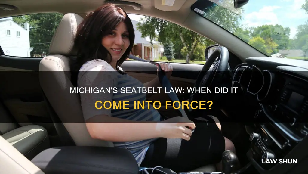 when did wearing a seatbelt become a law in michigan