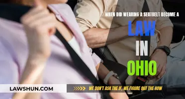 Buckling Up: Ohio's Seatbelt Law and You