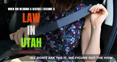 Utah's Seatbelt Law: When Did It Come Into Force?