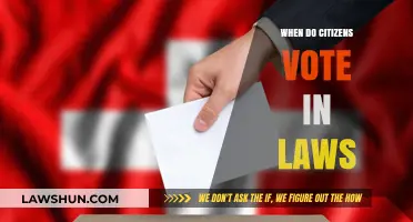 When Citizens Shape Policy: Understanding Direct Democracy Voting