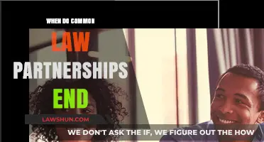 Understanding Common Law Partnership Termination