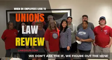 When Employees Seek Union Representation: Legal Insights and Trends