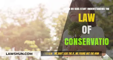 When Do Kids Grasp the Law of Conservation: A Developmental Insight