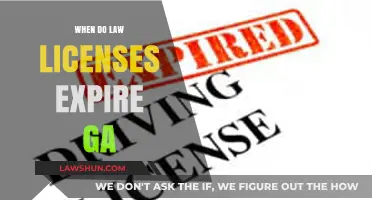 License Expiry Dates: What Georgia Lawyers Need to Know