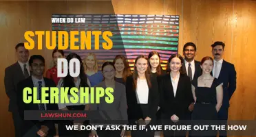 When Do Law Students Do Clerkships: Timing and Opportunities