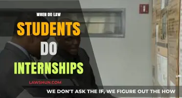When Law Students Should Pursue Internships: Timing and Benefits