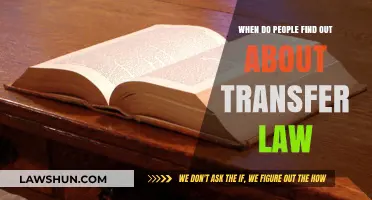 Understanding Transfer Law: When and How People Discover Its Impact