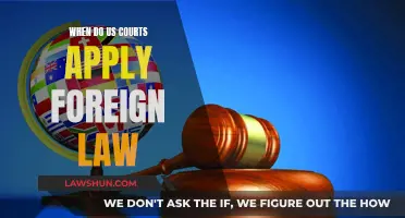 US Courts and Foreign Law: When Does It Apply?