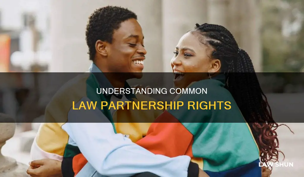 Understanding Common Law Partnership Rights | LawShun