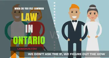 Understanding Common-Law Rights in Ontario: When to File