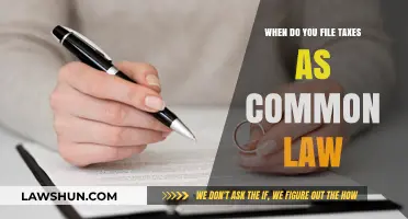 Understanding Common-Law Taxes: Filing as a Couple