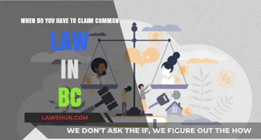Common-Law Relationships: Claiming Rights in British Columbia