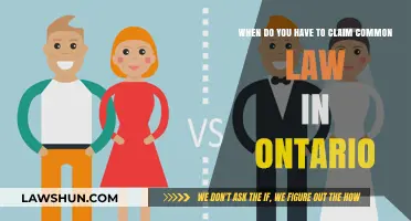 Understanding Common Law Claims in Ontario