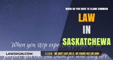 Saskatchewan Common Law Claims: When to File