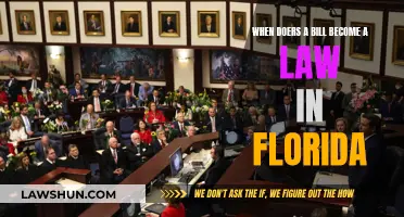 How Florida Turns Bills into Laws