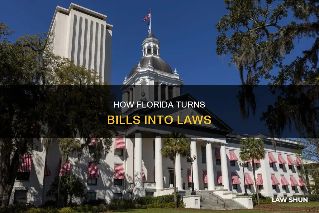 when doers a bill become a law in florida