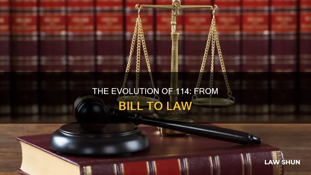 when does 114 become law