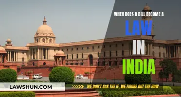 Understanding the Law-Making Process in India