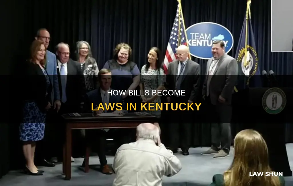 when does a bill become a law in kentucky