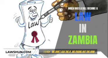 Understanding Zambia's Lawmaking Process: Bills to Laws