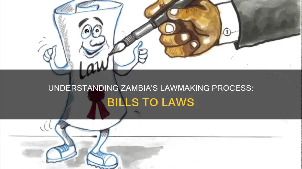 when does a bill become a law in zambia